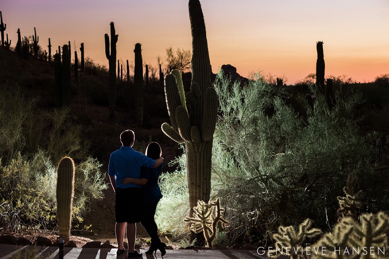 Phoenix Desert Botanical Garden Photo Session Policies Engagement Photographer Admission Arizona Engaged Cacti Black Hat AZ Tempe Scottsdale Ring Candid Natural Romantic Cactus Wedding (21)