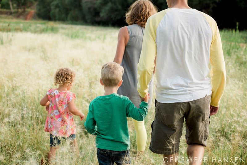 red-rock-canyon-open-space-family-photo-session-colorado-springs-manitou-springs-co-tall-grass-wild-natural-18
