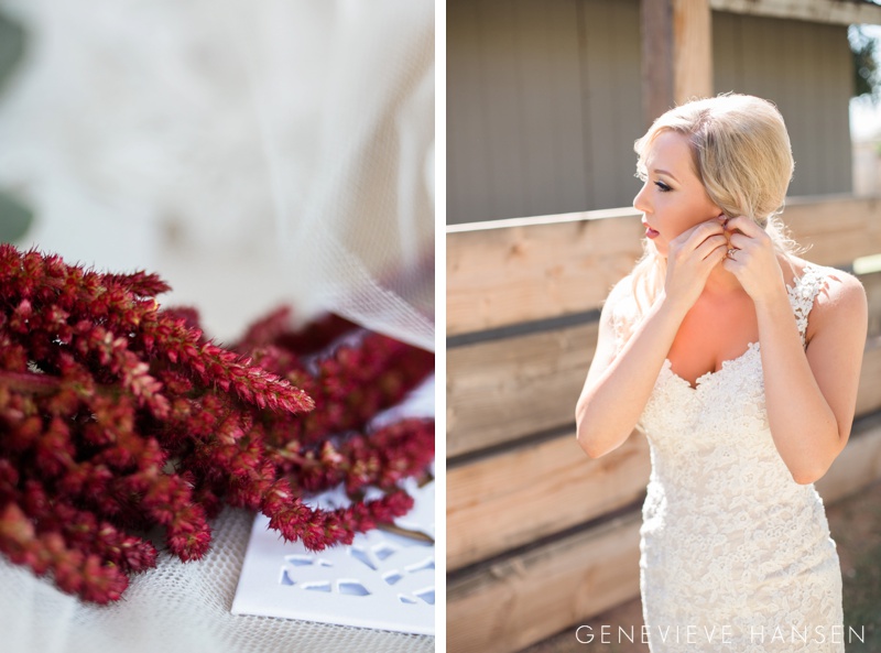 webster-farm-wedding-gilbert-arizona-wedding-photographer-natural-light-cranberry-bridesmaid-dresses-rustic-diy2016-10-14_0007