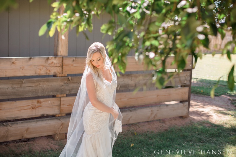 webster-farm-wedding-gilbert-arizona-wedding-photographer-natural-light-cranberry-bridesmaid-dresses-rustic-diy2016-10-14_0008