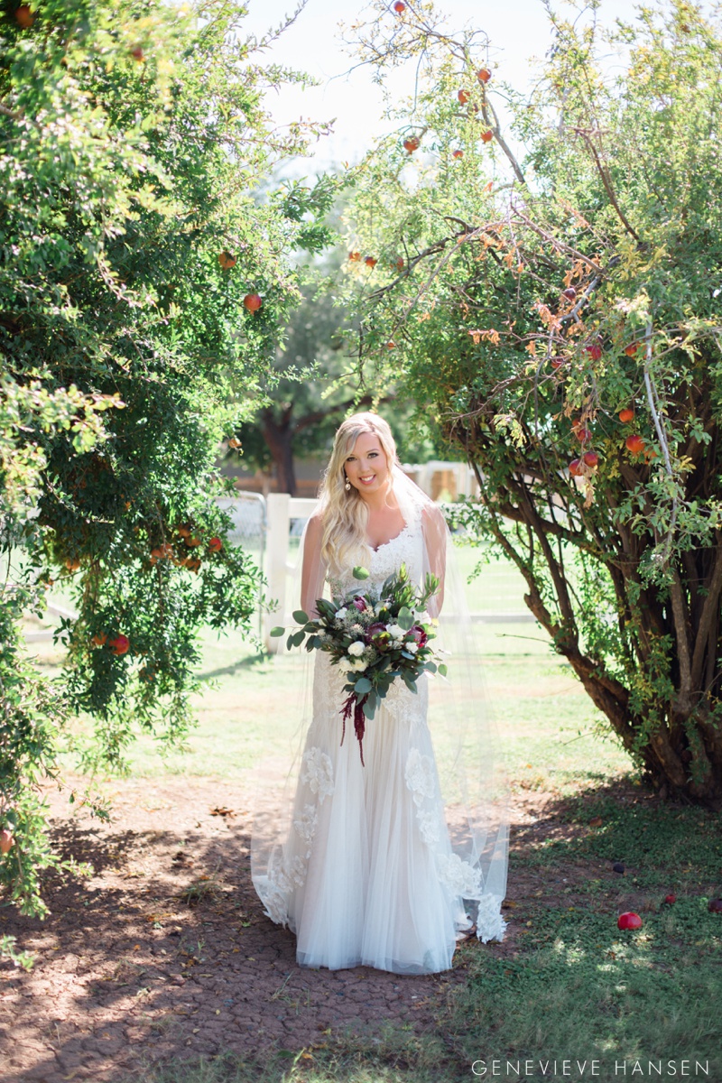 webster-farm-wedding-gilbert-arizona-wedding-photographer-natural-light-cranberry-bridesmaid-dresses-rustic-diy2016-10-14_0010