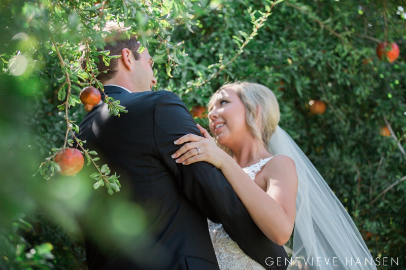 webster-farm-wedding-gilbert-arizona-wedding-photographer-natural-light-cranberry-bridesmaid-dresses-rustic-diy2016-10-14_0012