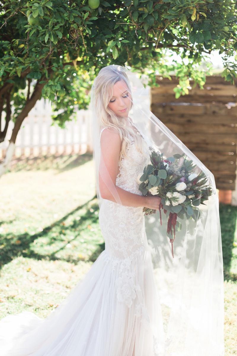 webster-farm-wedding-gilbert-arizona-wedding-photographer-natural-light-cranberry-bridesmaid-dresses-rustic-diy2016-10-14_0026