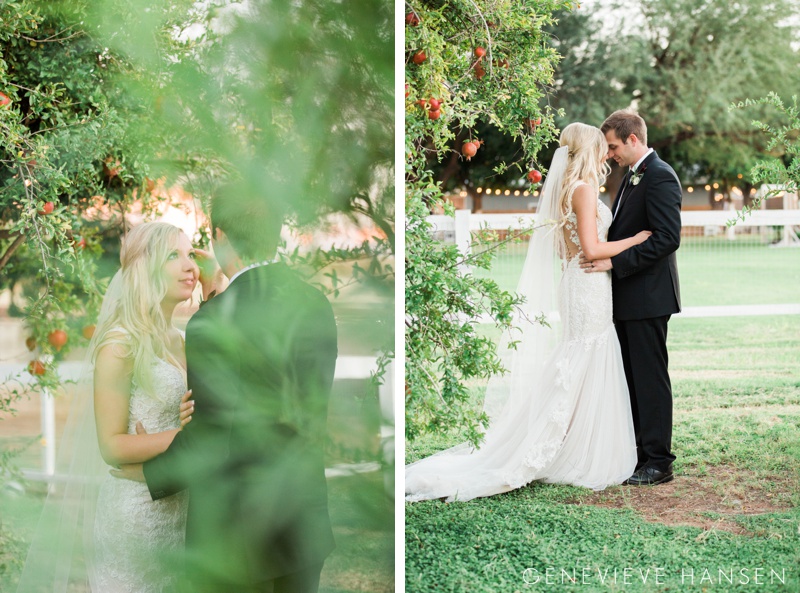 webster-farm-wedding-gilbert-arizona-wedding-photographer-natural-light-cranberry-bridesmaid-dresses-rustic-diy2016-10-14_0046