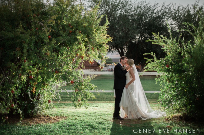 webster-farm-wedding-gilbert-arizona-wedding-photographer-natural-light-cranberry-bridesmaid-dresses-rustic-diy2016-10-14_0049