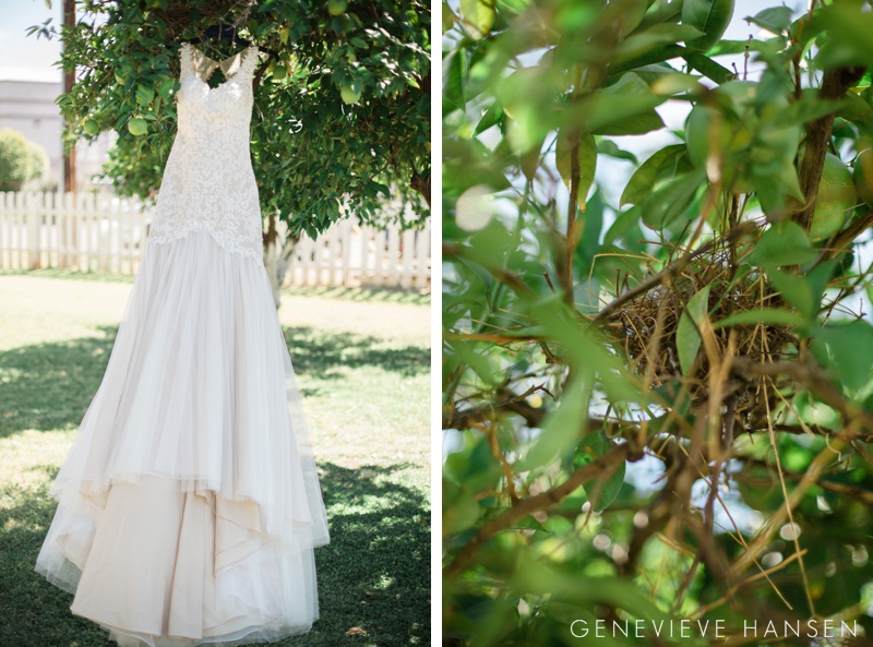 webster-farm-wedding-gilbert-arizona-wedding-photographer-natural-light-cranberry-bridesmaid-dresses-rustic-diy2016-10-14_0001