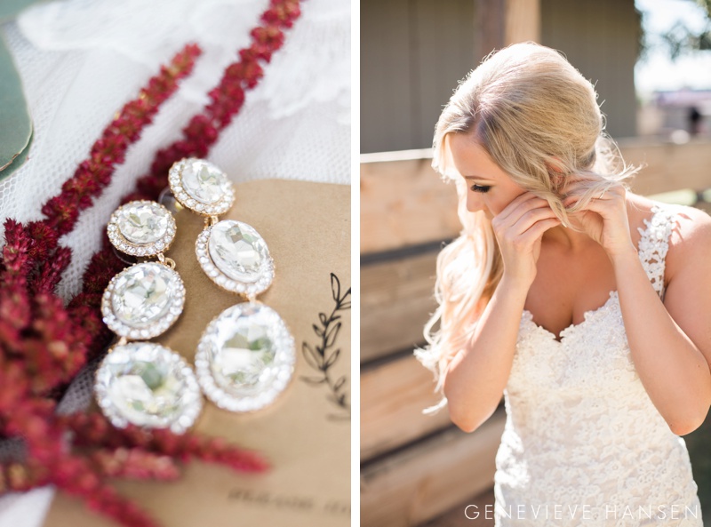 webster-farm-wedding-gilbert-arizona-wedding-photographer-natural-light-cranberry-bridesmaid-dresses-rustic-diy2016-10-14_0003