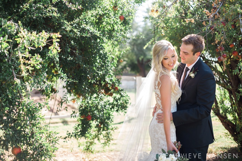 webster-farm-wedding-gilbert-arizona-wedding-photographer-natural-light-cranberry-bridesmaid-dresses-rustic-diy2016-10-14_0015